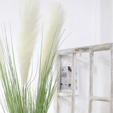 대림디움핑크뮬리