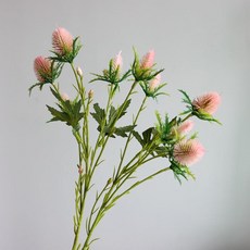 c2530412d2984f6b1bca2a6ec903e2501adc5b0aebfb530ae881db429606.jpg