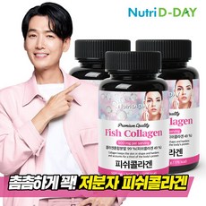 [뉴트리디데이]프리미엄 저분자 피쉬 콜라겐 타블렛 90정 x 3개 (9개월분), 프리미엄 피쉬콜라겐타블렛 3병 9개월분, 45g