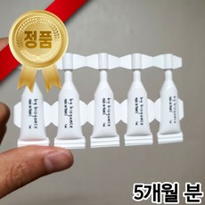 고양이 길고양이 바르는 외부기생충 심장사상충 방지제 진드기 모기 기피제 퇴치제 방지제 의약외품 5개월분