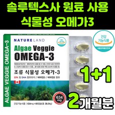 다다랜드플라잉노바