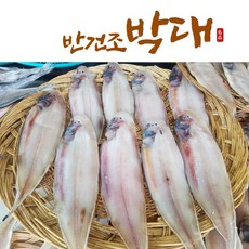 생선구이 국내산 100% 군산 박대 반건조 생선 서대, 박대 왕특대10마리