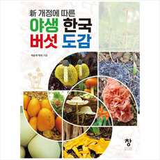 석순자