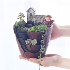 고무신다육정원