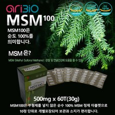 msm100t