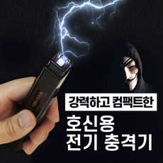 호신용전기충격기