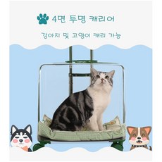 캐리어투명