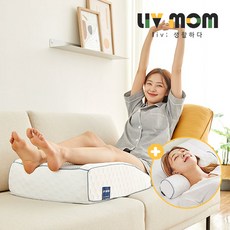 리브맘메모리폼경추베개