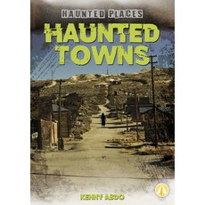 Haunted Towns Paperback, Fly!