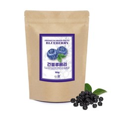 [ 견과공장 ] 프리미엄 마리아니 건블루베리 500g, 500g(건블루베리), 1개