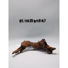 맹그로브 유목 (파충류 놀이터 은신처 선텐실 쉼터 테라리움 비바리움 수초활착 솟대 횃대), 1개