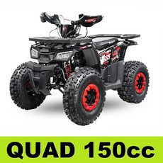 ATV150 / UTV / 사륜 오토바이 / 농업용 ATV/사발이, 150