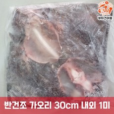삼천포 국내산 남해안 말린 제수용 특대 가오리찜 손질 반건조 가오리 30cm 내외 1미, 1세트, 1마리