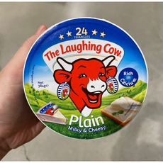 래핑카우세모포션플레인8p