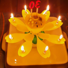 ec52df083d715e1b06c1e6f8395691c8f025cc3298442776d72baefc6ac6.png