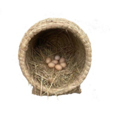 한일산란플러스