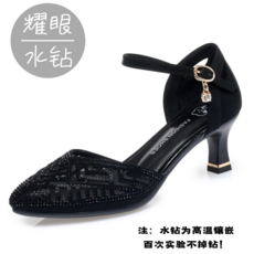 블랙스톤음식물처리기