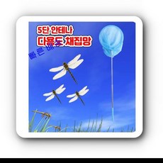 숲놀이곤충채집세트