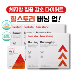 포뉴내몸애착다이어트보조제