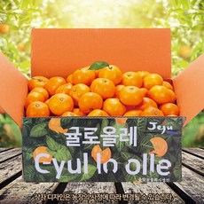 기타 [귤로올레]제주직송 하우스 감귤 2kg(S~M)_23, 1