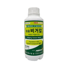 탄산칼슘