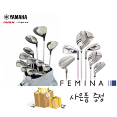 야마하페미나풀세트