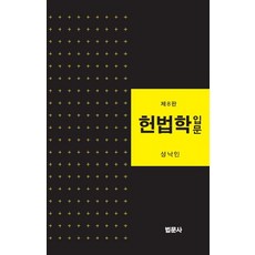 헌법학입문