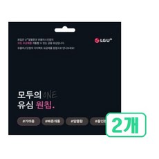 LGU+모두의 유심(원칩) 2개