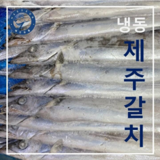 선상냉동갈치