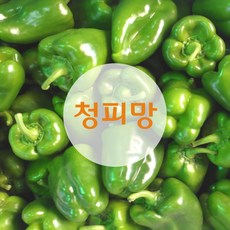 청홍피망