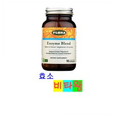 엔자임효소파우더