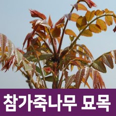 6910e3cdc369be92d0c3708c9211e16f3575bd676cdb6d38fdf63fa22673.jpg