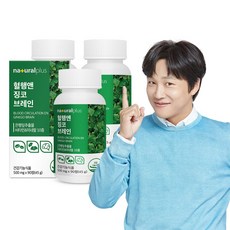 브레인이미테이션