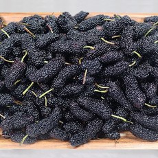 코스트코망고스틴