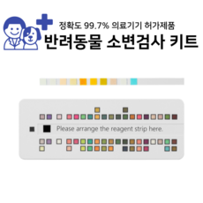 말티즈위그