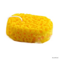 f2c66e0ec4f5a4c4de045030ec1ae49294197cf7f76b59321cacf3b2d8fb.jpg