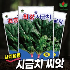 씨드코리아 시금치 씨앗 최강애 시금치 종자 2025, 3개 3개