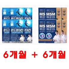 김오곤원장의 28청춘 콘드로이친 6개월분 + 김오곤 관절보 MSM 6개월분, 단품, 콘드리이친 6개월+MSM 6개월, 콘드리이친 6개월+MSM 6개월