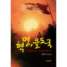 혁명 율도국:광해와 허균 홍길동과 대마도, 작가와비평