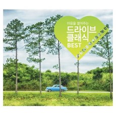 씨디드라이브