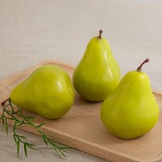 서양배모형