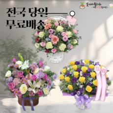 화창한날 꽃바구니당일배송 결혼40주년 전시회 생일꽃바구니 1000일선물 조화배달, 3번