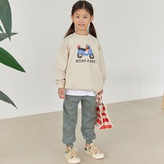 내장산복분자9호