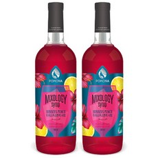 [천삼백케이] [메가커피] 포모나 믹솔로지 히비스커스펀치 시럽 1000ml 2개세트, 단품
