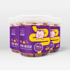 마시캣독큐브유산균