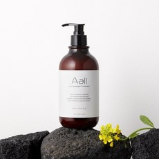 에이올 용암해수 트리트먼트/샴푸 500ml (택1), 화산송이 샴푸