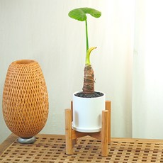 //상품명