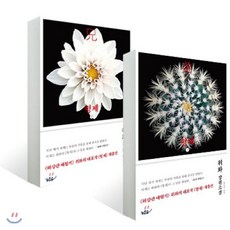 소설동의보감세트