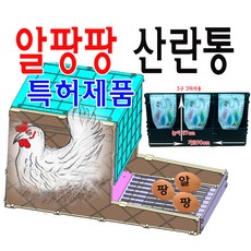 특허제품 알팡팡 닭산란통 3구 플라스틱 재질 닭알통 닭알낳는통 닭산란장 닭둥지 닭알낳는둥지 닭알 양계재료, 1박스