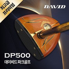 데이비드 로얄 프리미엄 파크골프 세트상품 DP500 + 파크골프 사은품, 프리미엄 DP500 남성세트